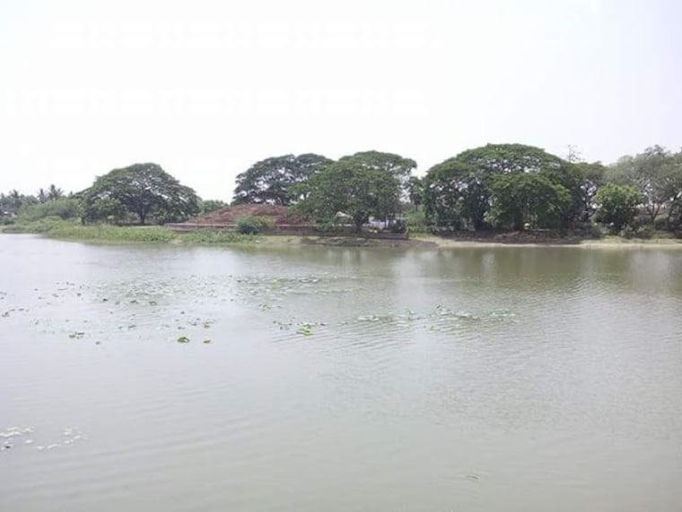 Bhattiprolu Buddhist Stupa Site-3